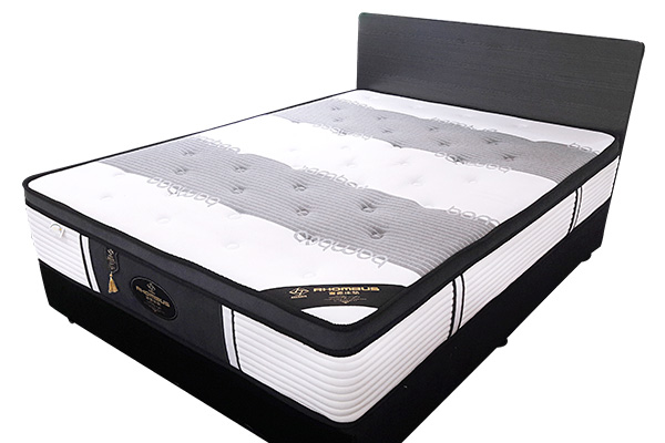 Compressed Bamboo Charcoal Latex 3 Zone Pocket Spring Mattress T002