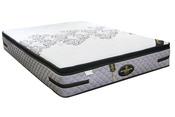 Bamboo Bed Bug Ortho Perfect Sleep Memory Foam Mattress 3010